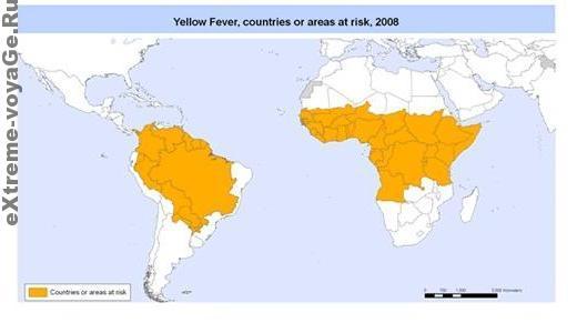 Желтая лихорадка, эпидемия 2008 года
