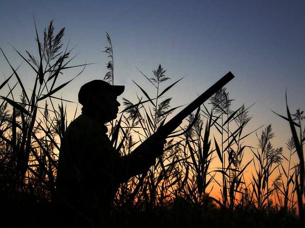 Легальная охота: охотникам упростят правила перевоза оружия внутри Таможенного союза